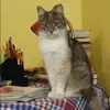 Отзыв от Нинель Лобанова